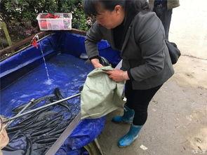 吃瓜群众回家睡觉,静享宁静时光