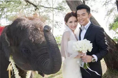 吃瓜许太太,娱乐圈背后的神秘人物