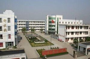 唐洋中学吃瓜,揭秘校园里的“瓜田”风云