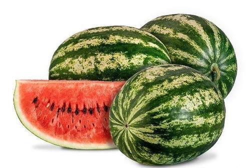 我吃鸡瓜吃西瓜,欢乐“吃鸡瓜”与“西瓜”之旅